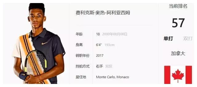 呈现出极具 呈现出极具