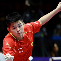 机器人开团 机器人开团